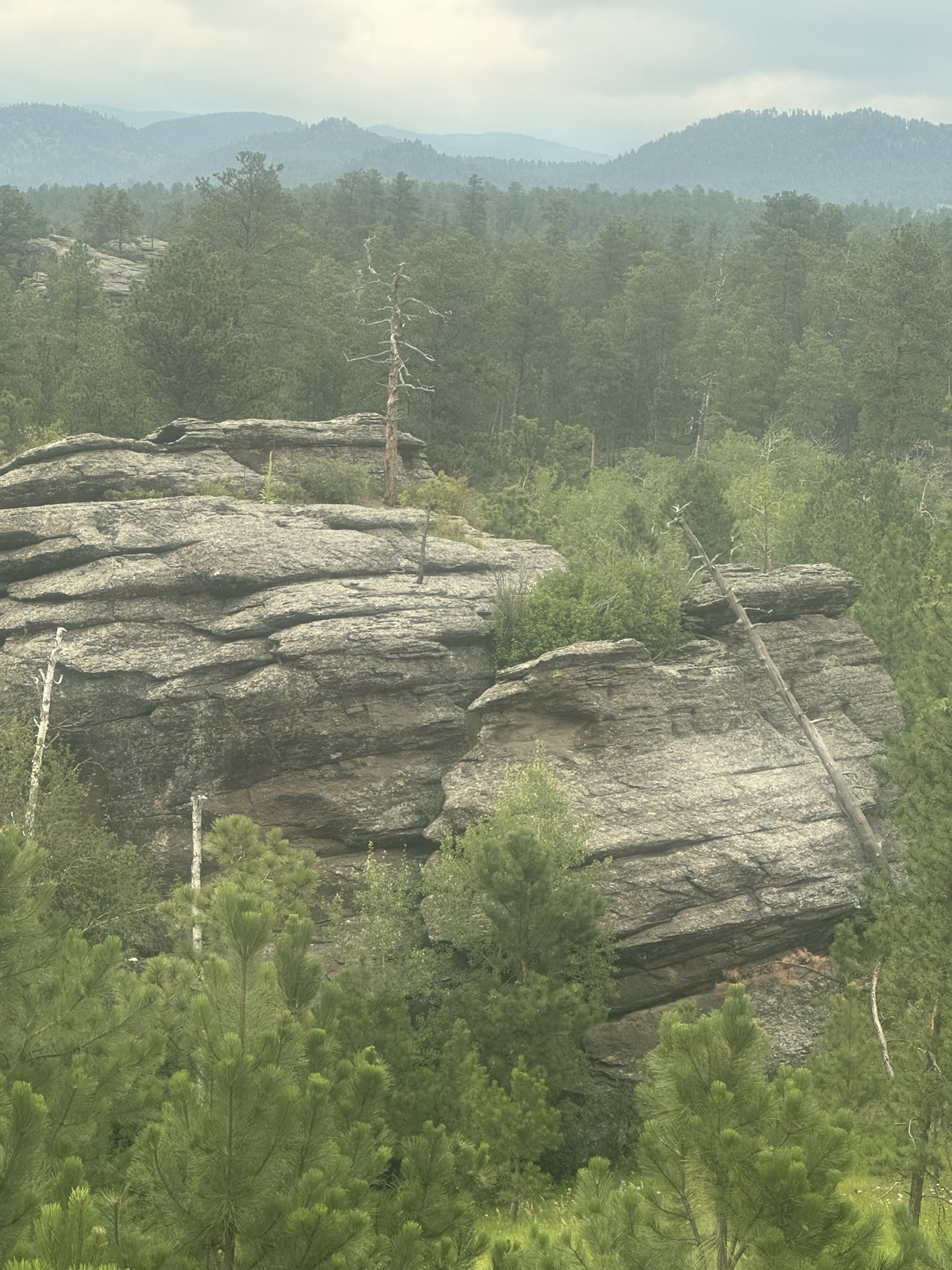 South Dakota - Image 219
